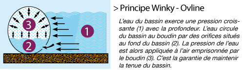 principe-winky-ovline.jpg