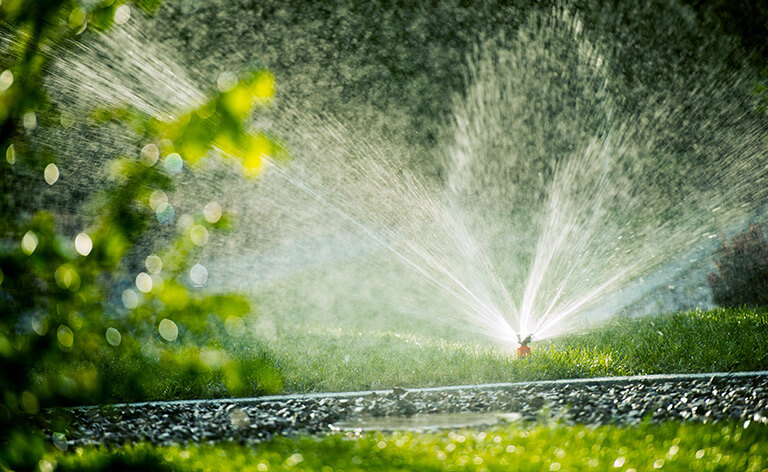 Arrosage intégré en marche dans le jardin