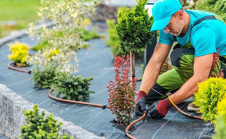 arrosage localisé installé par un jardinier