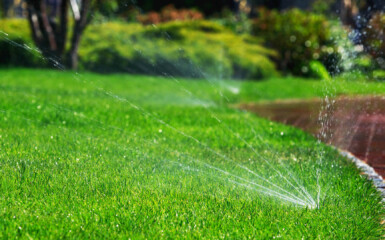 arrosage intégré pour le jardin
